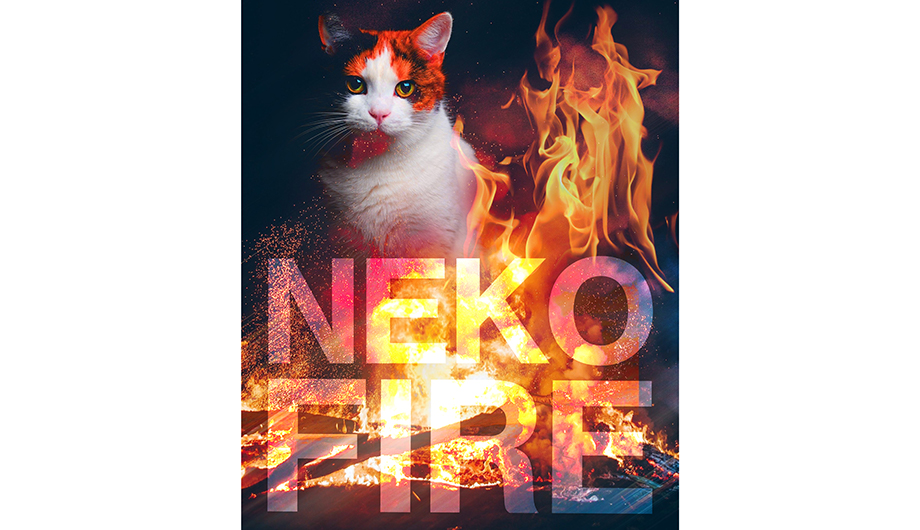 ネコファイアー、猫、炎、火